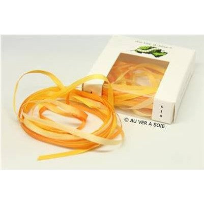 Au Ver a Soie Silk Ribbon Variegated 4mm (3m) - 0610