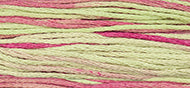 Weeks Dye Works Stranded Cotton - 1126 Coleus