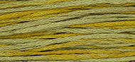 Weeks Dye Works Stranded Cotton - 1264 Loden