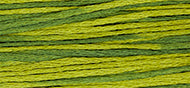 Weeks Dye Works Stranded Cotton - 2201 Moss