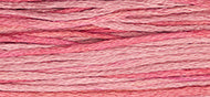 Weeks Dye Works Stranded Cotton - 2276 Camellia