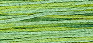 Weeks Dye Works Stranded Cotton - 4111 Lucky