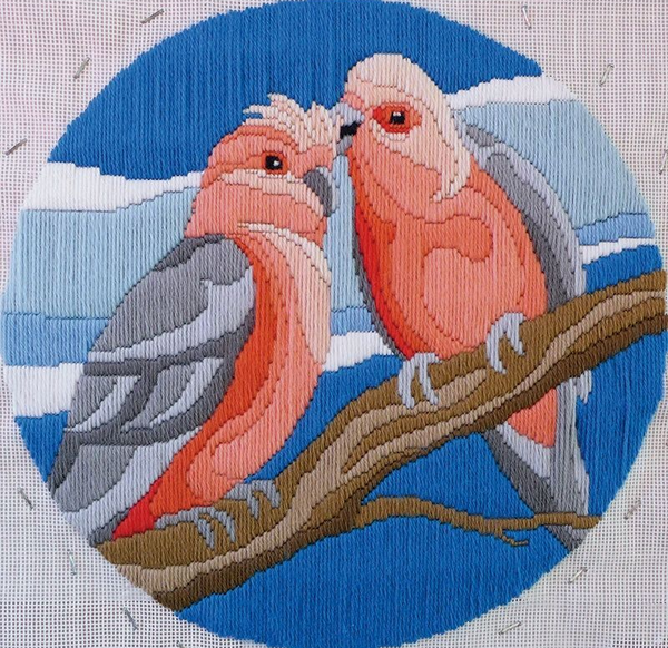 Galahs Long Stitch Kit FLS-5011 by Country Threads