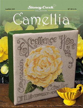 Camellia by Stoney Creek