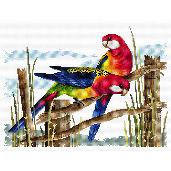 Eastern Rosellas FJP-1036 by Country Threads