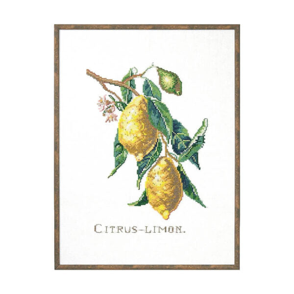 Citrus-Limon Cross Stitch Kit by Eva Rosenstand/Clara Weaver 12-850