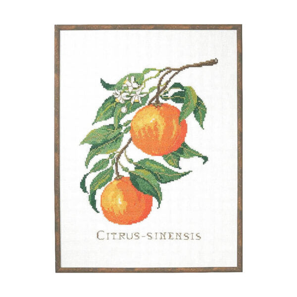 Citrus-Sinensis Cross Stitch Kit by Eva Rosenstand/Clara Weaver 14-017