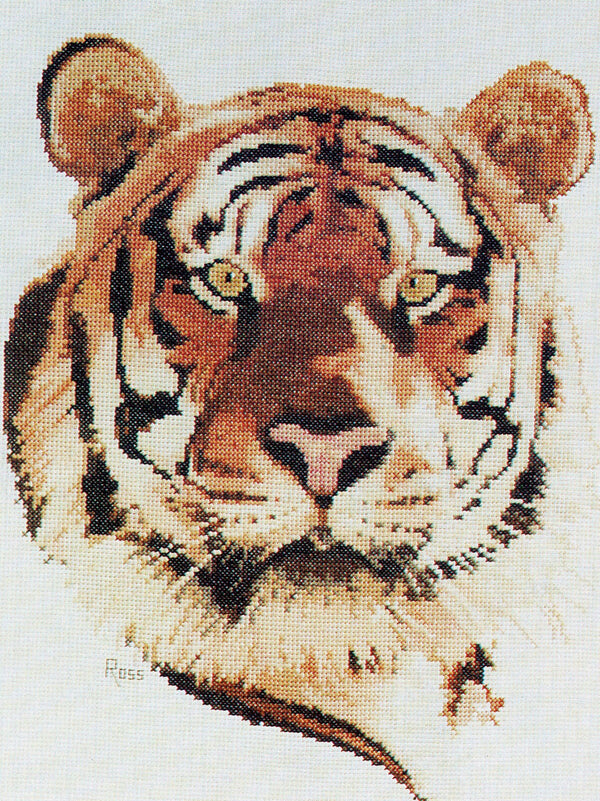 Tiger by Graeme Ross