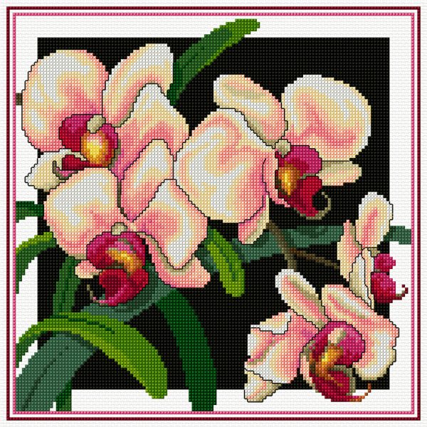 Pink Phallys - Beautiful Orchids FJ-2010 by Country Threads