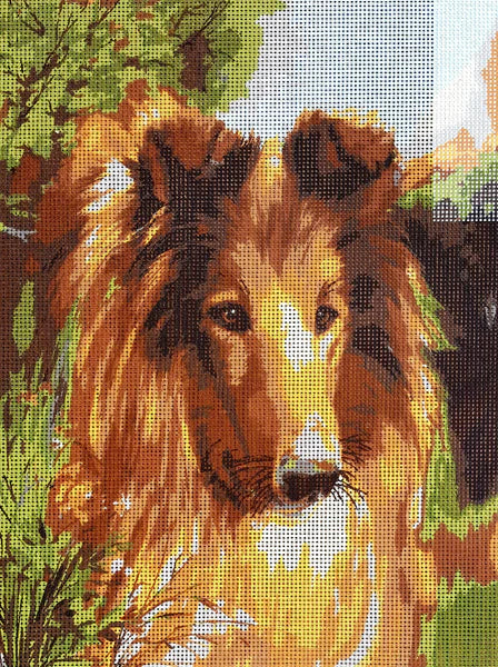 Collie Dog - Tapestry Canvas by Collection D'Art 10466