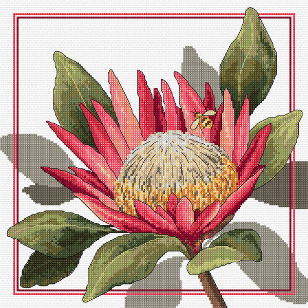 King Protea FJP-2021 by Country Threads