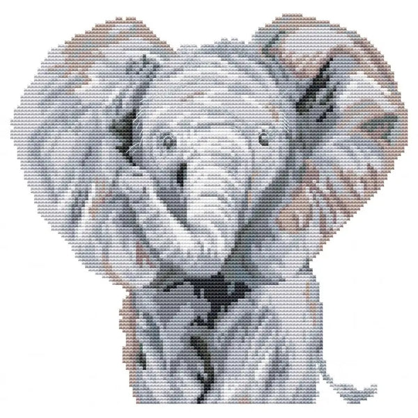Elephant- Cross Stitch Kit by My Cross Stitch MBACS01