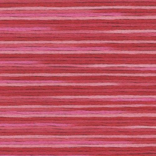 Cosmo Seasons Variegated Stranded Cotton 5002