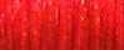 Kreinik #4 5505 Red Pepper