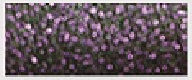 Kreinik #4 556 Fly by Night