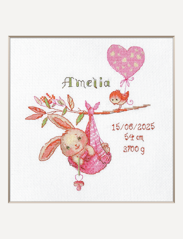 Girl Birth Sampler Cross Stitch Kit by Aine A1029