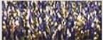 Kreinik #4 5800 Golden Blackberry