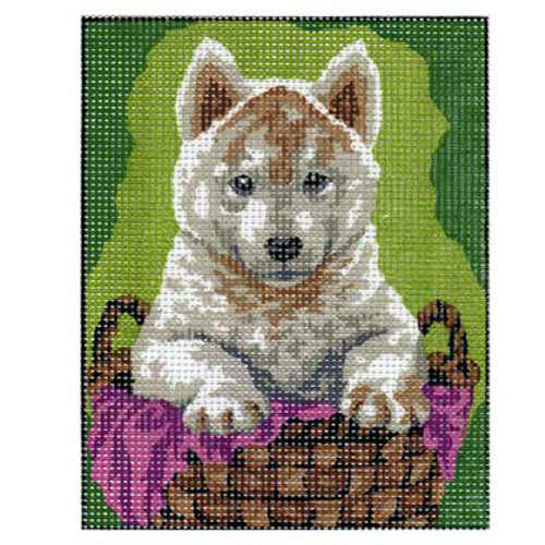 Dog in Basket - Tapestry Canvas by Sophie S1418.02