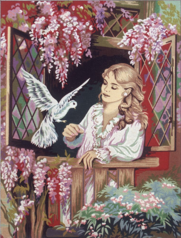 Dove at Window C 937- Tapestry Canvas by Diamant