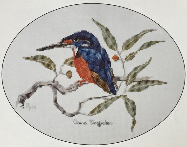 Azure Kingfisher by Graeme Ross
