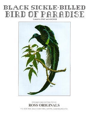 Black Sickle-Billed Bird of Paradise by Graeme Ross