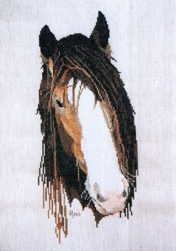 Clydesdale by Graeme Ross