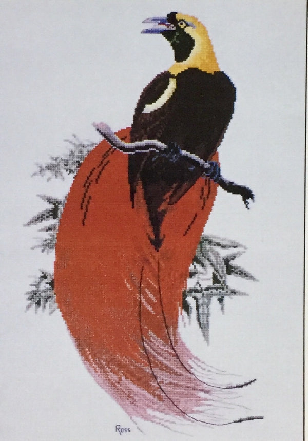 Count Raggi's Bird of Paradise by Graeme Ross