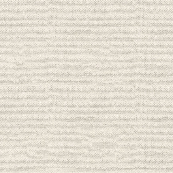 Linen Cotton - Champagne by Devonstone Collection DV4104