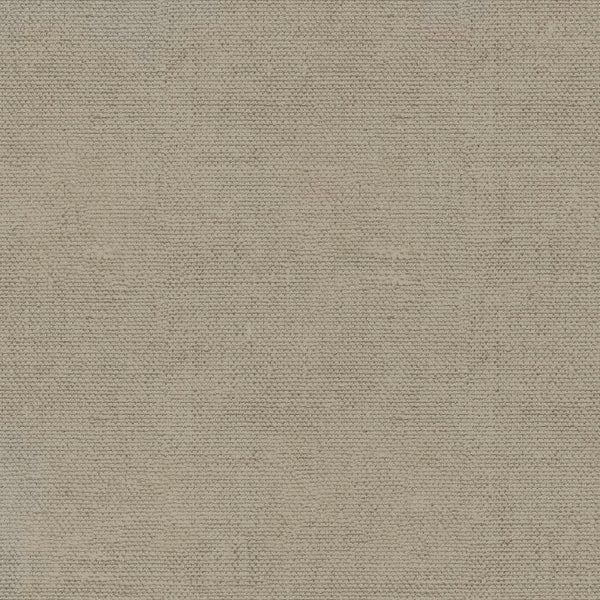 Linen Cotton -  Putty by Devonstone Collection DV4106