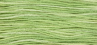 Weeks Dye Works Stranded Cotton - 1120 Wasabi