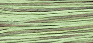 Weeks Dye Works Stranded Cotton - 1181 Cape Cod