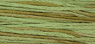 Weeks Dye Works Stranded Cotton - 1261 Celadon