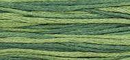 Weeks Dye Works Stranded Cotton - 1277 Collards