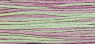 Weeks Dye Works Stranded Cotton - 1301 Julian