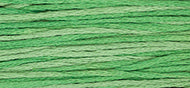 Weeks Dye Works Stranded Cotton - 2171 Emerald