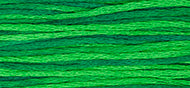 Weeks Dye Works Stranded Cotton - 2173 Envy