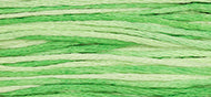 Weeks Dye Works Stranded Cotton - 2191 Granny Smith