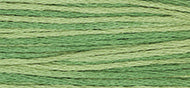 Weeks Dye Works Stranded Cotton - 2198 Ivy