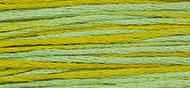 Weeks Dye Works Stranded Cotton - 2206 Pistachio