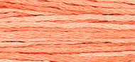 Weeks Dye Works Stranded Cotton - 2243 Cantaloupe