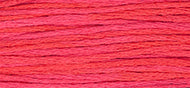 Weeks Dye Works Stranded Cotton - 2262 Watermelon Punch