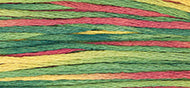 Weeks Dye Works Stranded Cotton - 4105 Noel