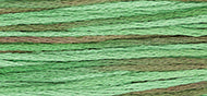 Weeks Dye Works Stranded Cotton - 4135 Foliage