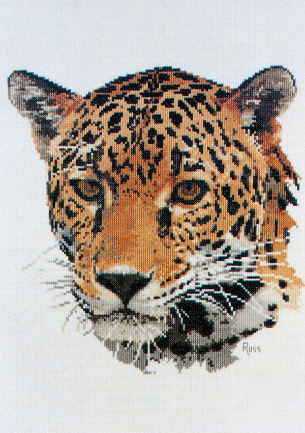 Jaguar by Graeme Ross