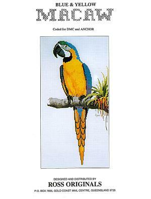 Macaw by Graeme Ross