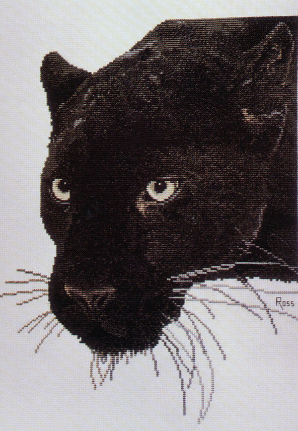 Panther by Graeme Ross