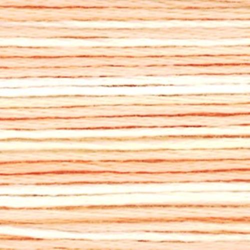 Cosmo Seasons Variegated Stranded Cotton 8045