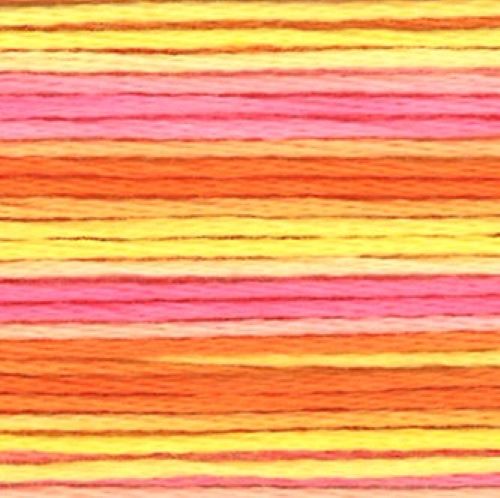 Cosmo Seasons Variegated Stranded Cotton 8046