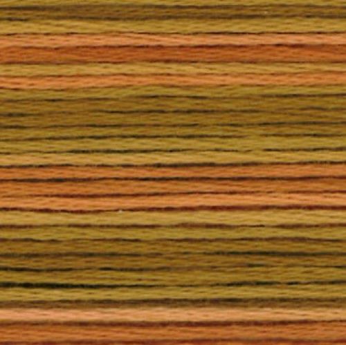 Cosmo Seasons Variegated Stranded Cotton 8048
