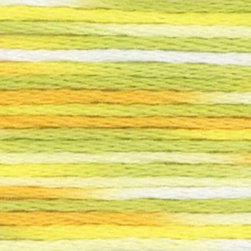 Cosmo Seasons Variegated Stranded Cotton 9004